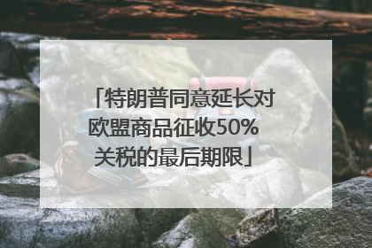 特朗普同意延长对欧盟商品征收50%关税的最后期限