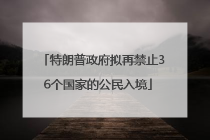 特朗普政府拟再禁止36个国家的公民入境