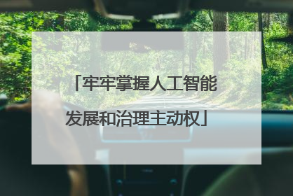牢牢掌握人工智能发展和治理主动权