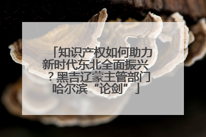 知识产权如何助力新时代东北全面振兴？黑吉辽蒙主管部门哈尔滨“论剑”