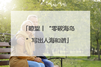 瞭望丨“零碳海岛”写出人海和谐