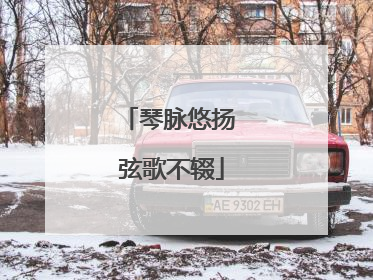 琴脉悠扬 弦歌不辍