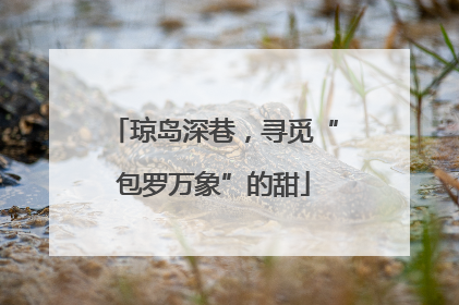 琼岛深巷，寻觅“包罗万象”的甜