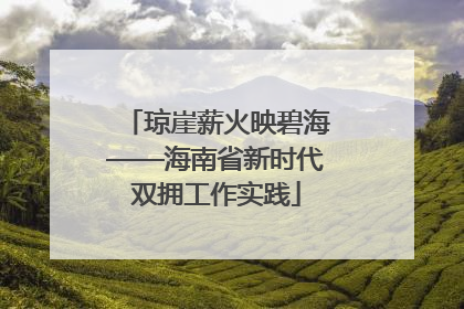 琼崖薪火映碧海——海南省新时代双拥工作实践