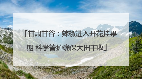 甘肃甘谷：辣椒进入开花挂果期 科学管护确保大田丰收