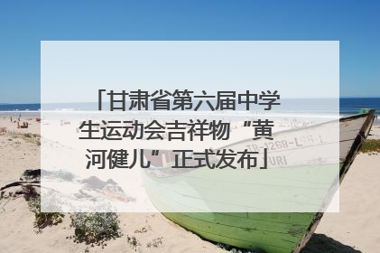 甘肃省第六届中学生运动会吉祥物“黄河健儿”正式发布