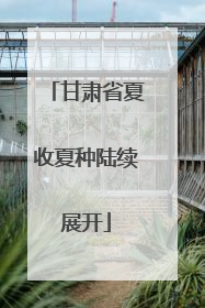 甘肃省夏收夏种陆续展开
