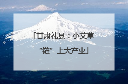 甘肃礼县：小艾草“链”上大产业