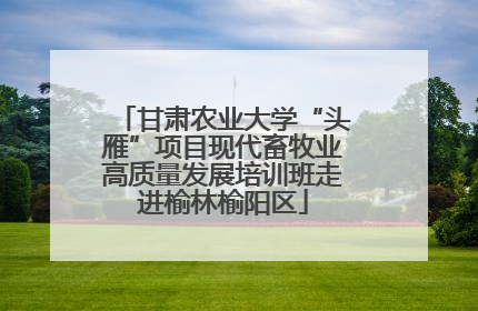 甘肃农业大学“头雁”项目现代畜牧业高质量发展培训班走进榆林榆阳区