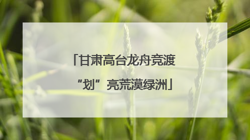 甘肃高台龙舟竞渡“划”亮荒漠绿洲