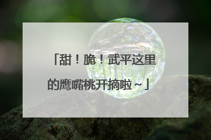 甜！脆！武平这里的鹰嘴桃开摘啦～