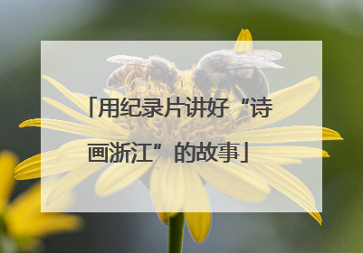 用纪录片讲好“诗画浙江”的故事