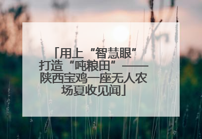 用上“智慧眼” 打造“吨粮田”——陕西宝鸡一座无人农场夏收见闻