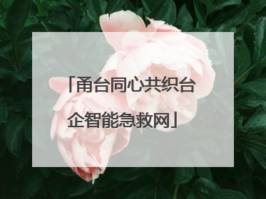 甬台同心共织台企智能急救网