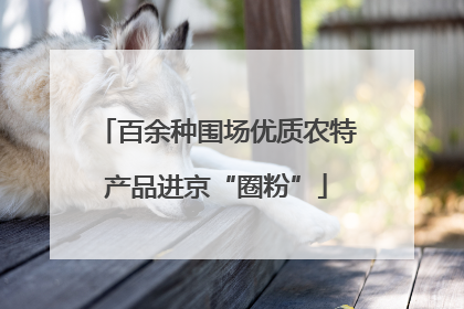 百余种围场优质农特产品进京“圈粉”