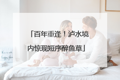 百年重逢！泸水境内惊现短序醉鱼草