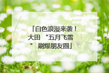 白色浪漫来袭！大田 “五月飞雪” 刷爆朋友圈