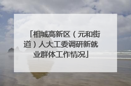 相城高新区（元和街道）人大工委调研新就业群体工作情况