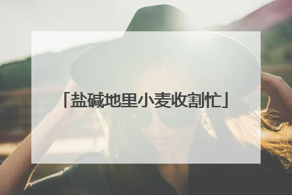 盐碱地里小麦收割忙