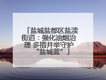盐城盐都区盐渎街道：强化油烟治理 多措并举守护“盐城蓝”