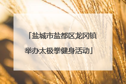 盐城市盐都区龙冈镇举办太极拳健身活动