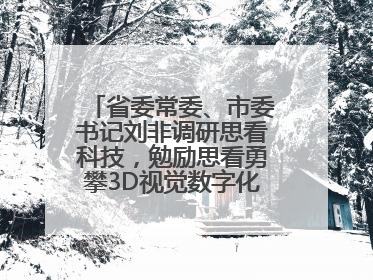 省委常委、市委书记刘非调研思看科技，勉励思看勇攀3D视觉数字化科技高峰