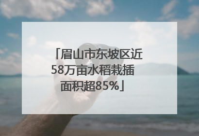 眉山市东坡区近58万亩水稻栽插面积超85%