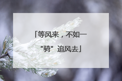 等风来，不如一“骑”追风去