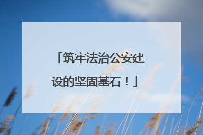 筑牢法治公安建设的坚固基石！