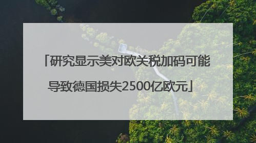研究显示美对欧关税加码可能导致德国损失2500亿欧元