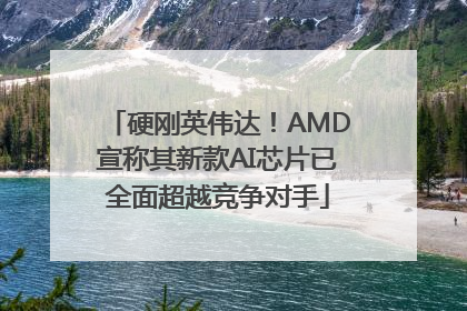 硬刚英伟达！AMD宣称其新款AI芯片已全面超越竞争对手