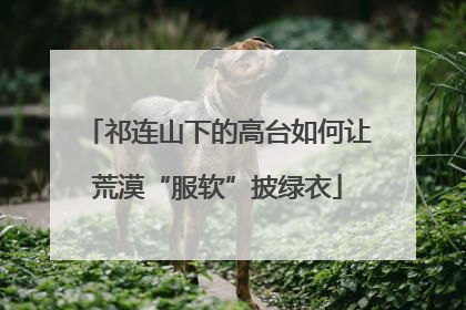 祁连山下的高台如何让荒漠“服软”披绿衣