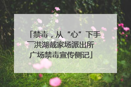 禁毒，从“心”下手――洪湖戴家场派出所广场禁毒宣传侧记