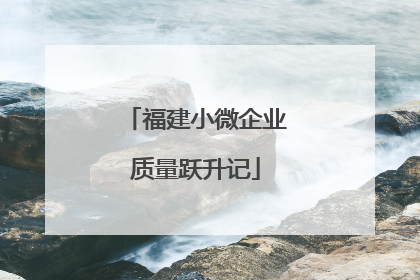 福建小微企业质量跃升记