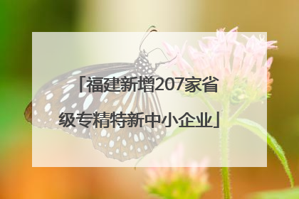 福建新增207家省级专精特新中小企业
