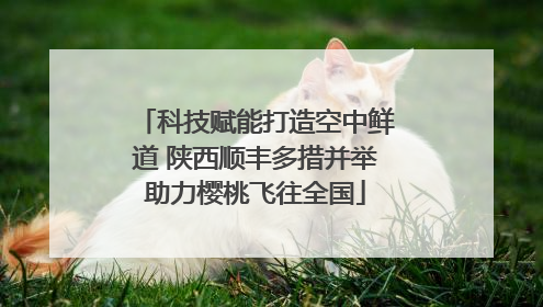 科技赋能打造空中鲜道 陕西顺丰多措并举助力樱桃飞往全国