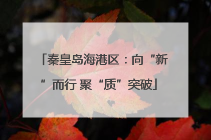 秦皇岛海港区：向“新”而行 聚“质”突破