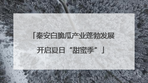 秦安白脆瓜产业蓬勃发展 开启夏日“甜蜜季”