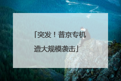 突发！普京专机遭大规模袭击