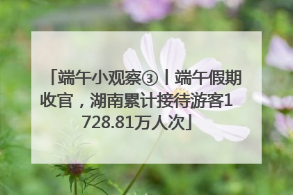 端午小观察③丨端午假期收官，湖南累计接待游客1728.81万人次