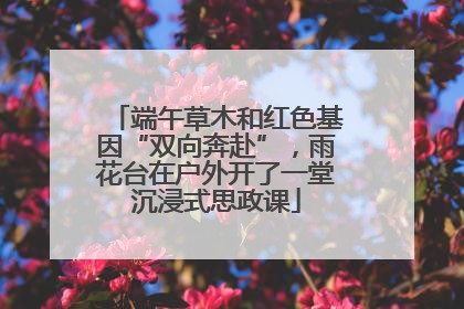 端午草木和红色基因“双向奔赴”，雨花台在户外开了一堂沉浸式思政课