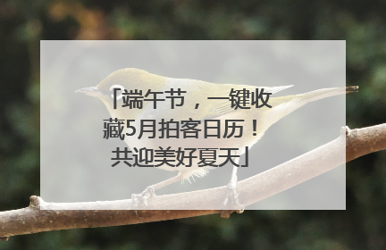 端午节，一键收藏5月拍客日历！共迎美好夏天