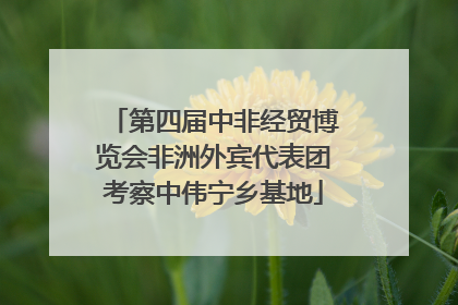 第四届中非经贸博览会非洲外宾代表团考察中伟宁乡基地