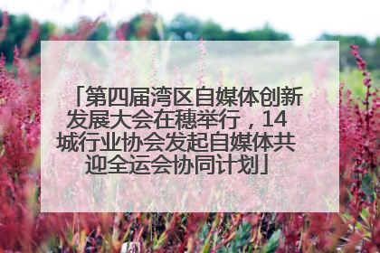 第四届湾区自媒体创新发展大会在穗举行，14城行业协会发起自媒体共迎全运会协同计划