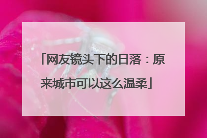 网友镜头下的日落：原来城市可以这么温柔