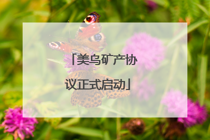 美乌矿产协议正式启动