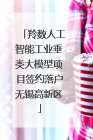 羚数人工智能工业垂类大模型项目签约落户无锡高新区