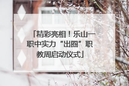 精彩亮相！乐山一职中实力“出圈”职教周启动仪式