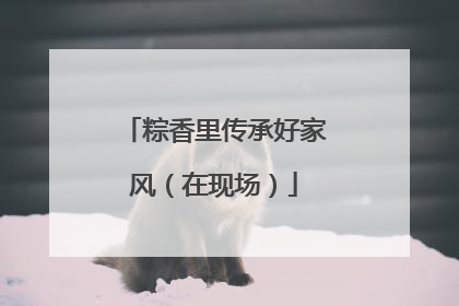 粽香里传承好家风（在现场）