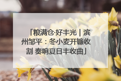 粮满仓·好丰光｜滨州邹平：冬小麦开镰收割 奏响夏日丰收曲